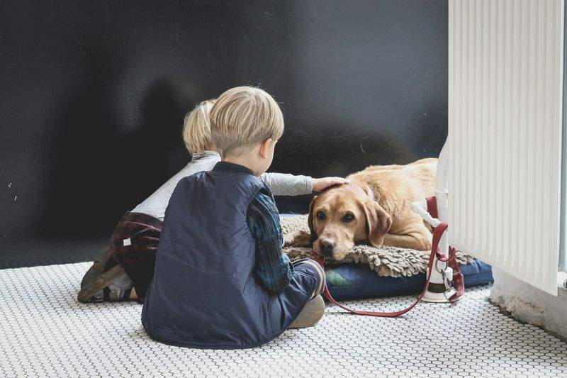 株式会社ペットケア・ミライ 14